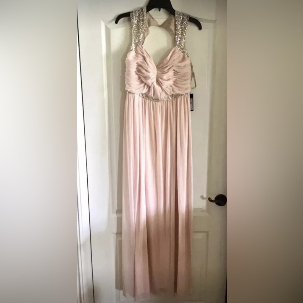 Adrianna Papell Long Dress Women’s Size 12 Pink Silver Sequins Gown Rsp $209 New